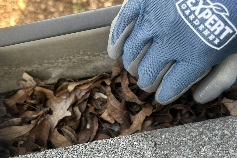 Gutter Cleaning Falls Church