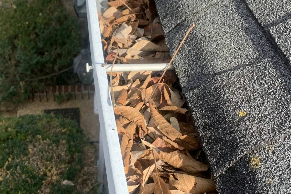 Gutter Cleaning Falls Church