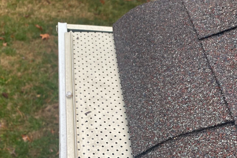 Gutter Cleaning Falls Church