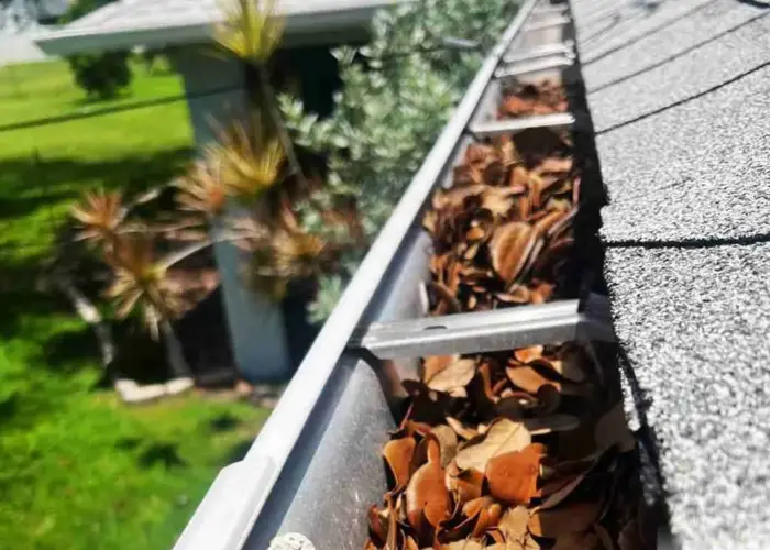 Gutter Cleaning Falls Church home page